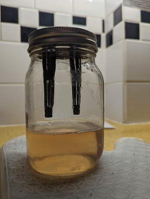 Wasp Trap for Mason Jars