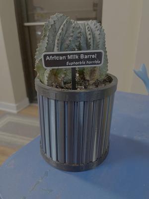 Striped Barrel Planter