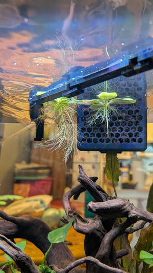 Autoleveling Aquarium Floating Plant Barrier