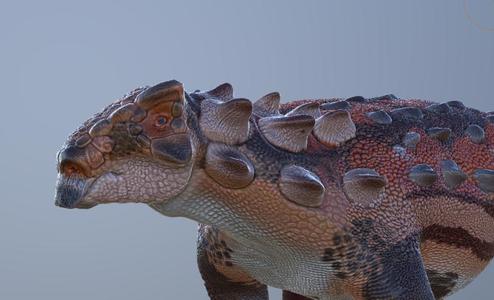 Bissektipelta