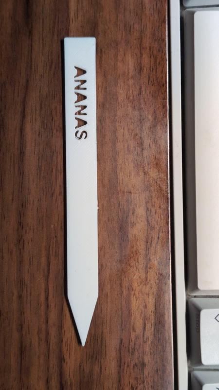 Customizable Parametric Plant Label with Hollowed Vertical Text