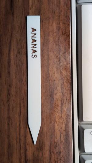 Customizable Parametric Plant Label with Hollowed Vertical Text