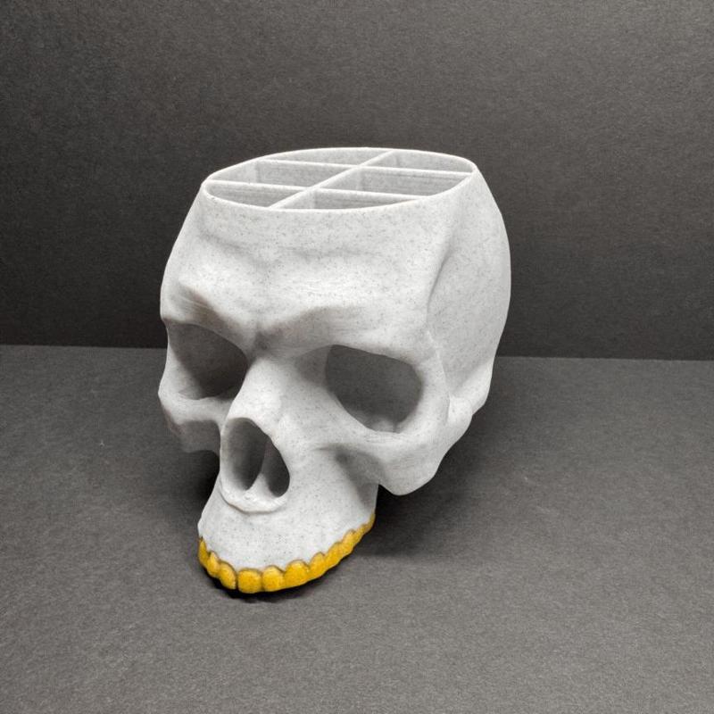 Skull Organizer