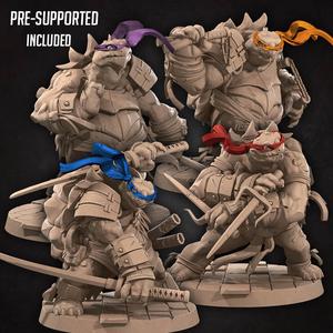 Ninja Tortles (4 Models)