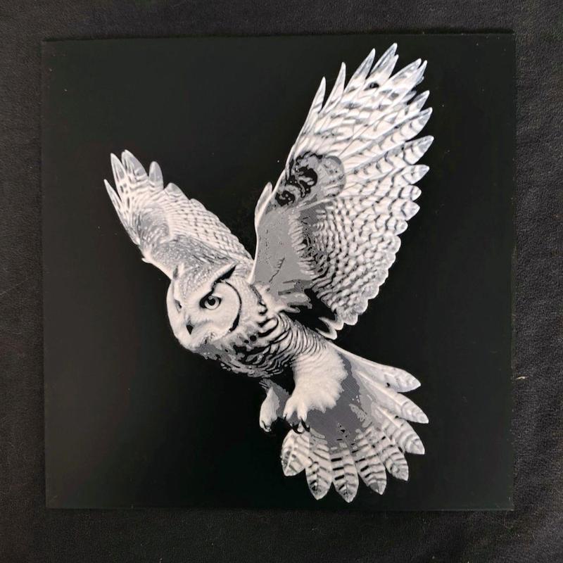 Owl HueForge