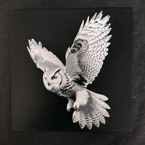 Owl HueForge