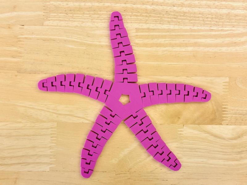 Articulated Sea Star