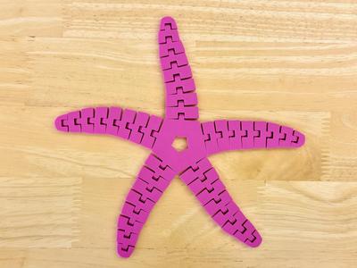 Articulated Sea Star