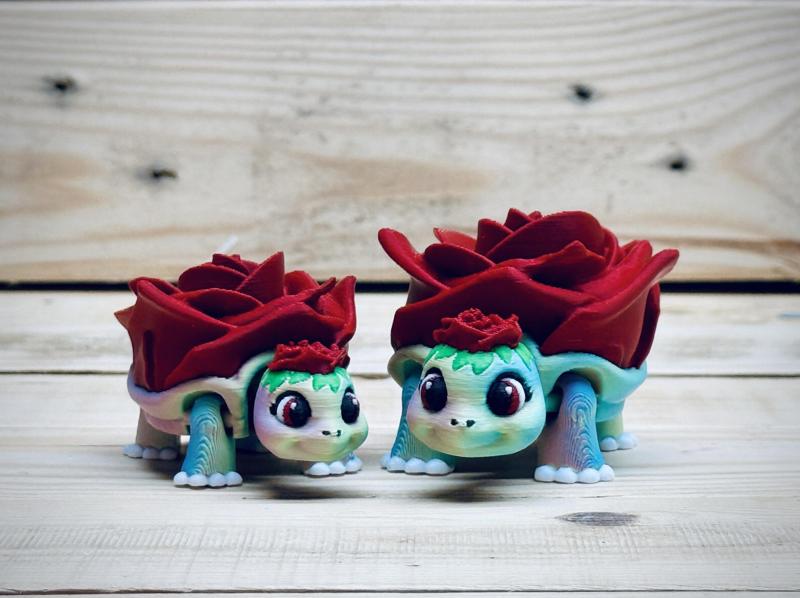 Rose Turtle 