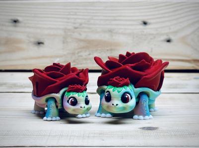 Rose Turtle 