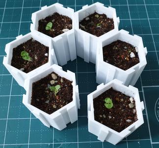 Assembable Plant Starter