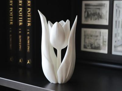Tulip