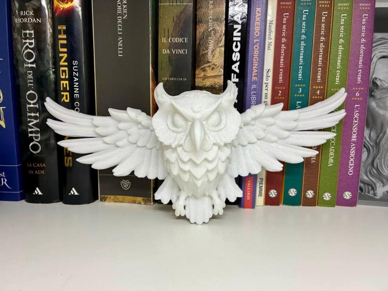 wall owl
