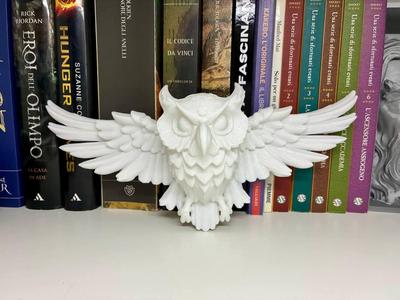 wall owl