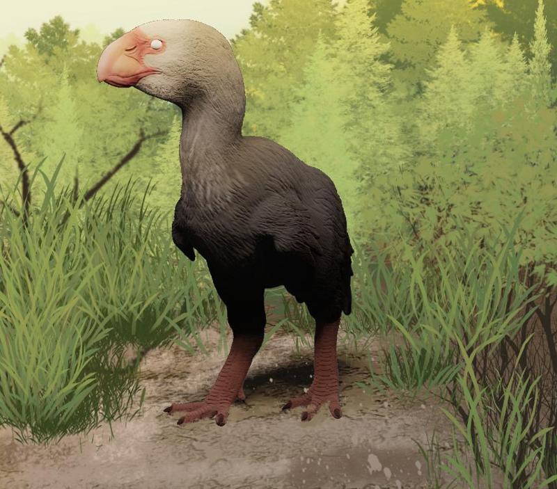Brontornis Figruine