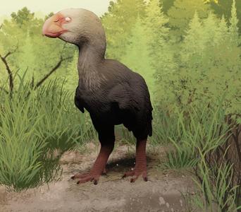 Brontornis Figruine