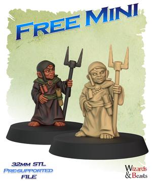Halfling Wizard for Dungeons & Dragon RPG and Fantasy Boardgames