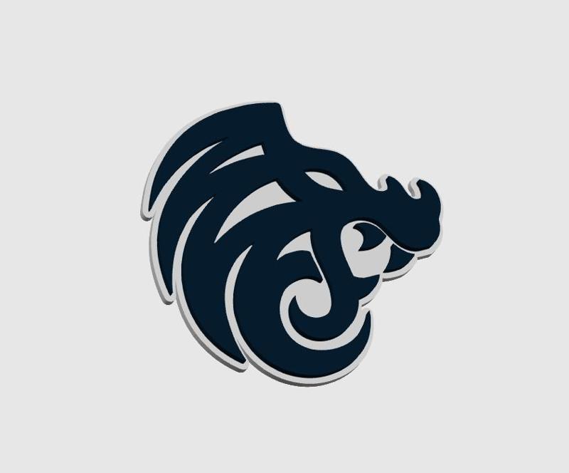 North Logo (CSGO)