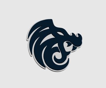 North Logo (CSGO)