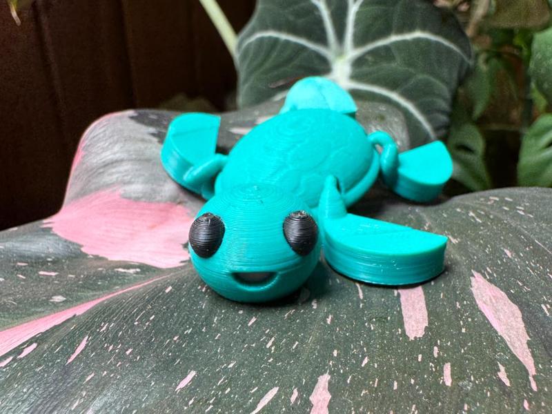 Articulated Turtle -Free License!
