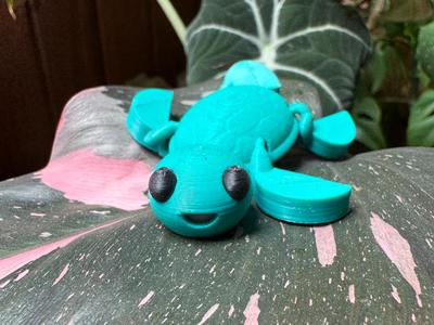 Articulated Turtle -Free License!