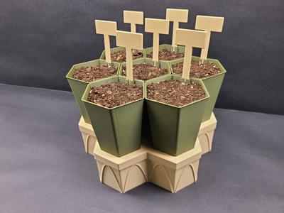Hexagonal Seed Starter