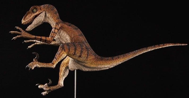 Velociraptor