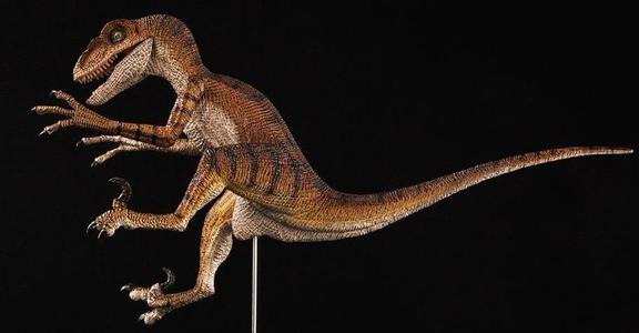 Velociraptor