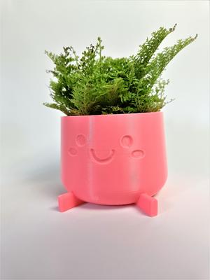 Cute Planter Lina
