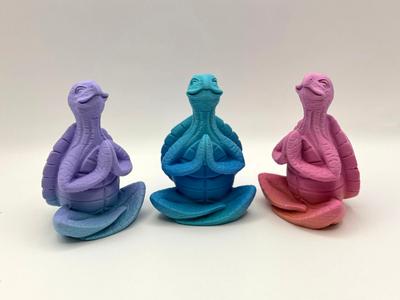 Zen Turtle