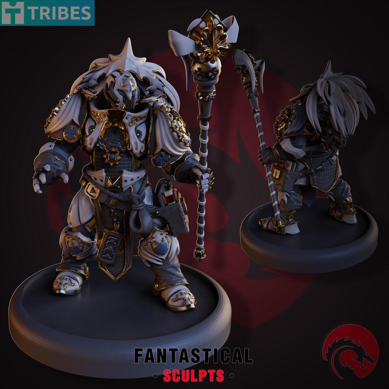 Paladin Clerics