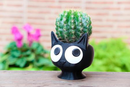 Cat Planter