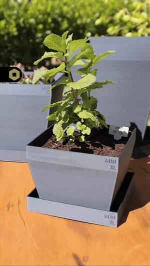 Grow Pots