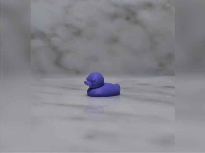 Mini Rubber Duck (No AMS)