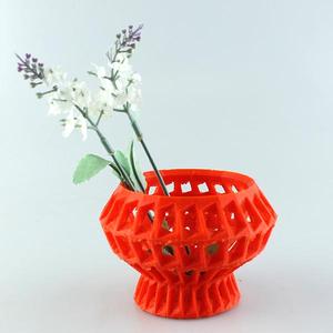 Elegant Vase