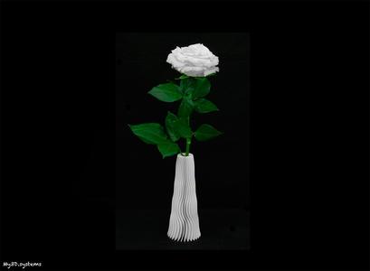 Twisted Vase  Laura 