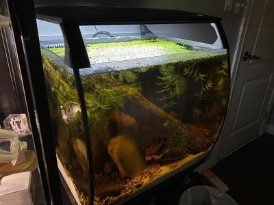 Lid Riser for Fluval Flex 15 gallon 57L