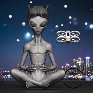Alien FPV Pro in Our Skies - Mystery Solved
