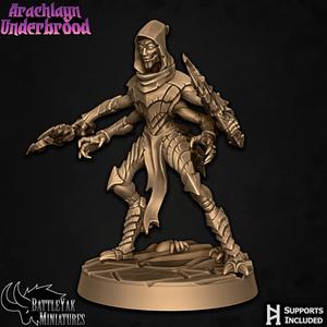 Arachlayn Infiltrator F