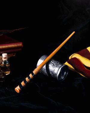 Seamus Finnigan's Wand - Harry Potter