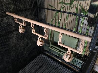 Cage Perch