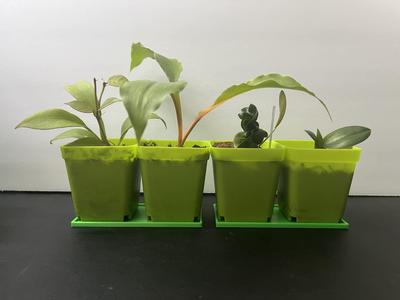 Plates for Plant Pots (Single, Double, Triple, and Quad Sizes)