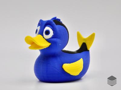 Dory Duck