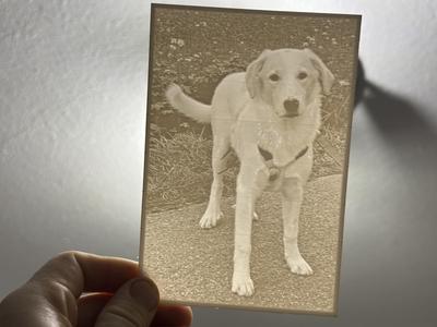 Lithophane Dog