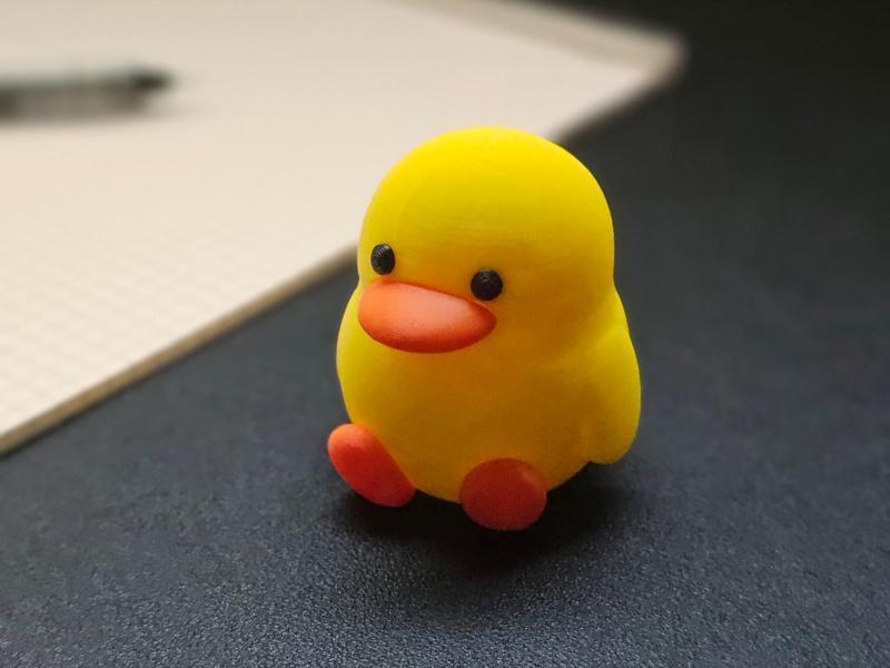 Cute Duck 