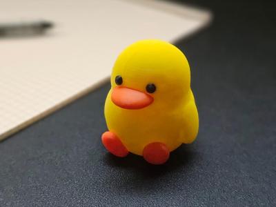 Cute Duck 