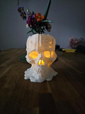 Melting Skull