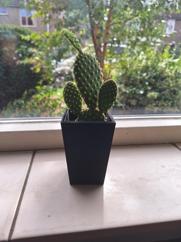 Designer plant pot with anti root rot system