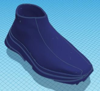 Wearable shoe