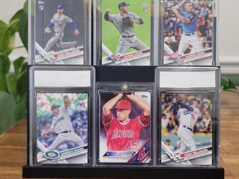 Sports and Trading Card Display 